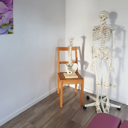 Körperskelett und Wirbelsäule